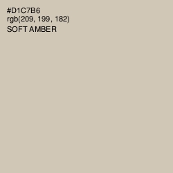 #D1C7B6 - Soft Amber Color Image